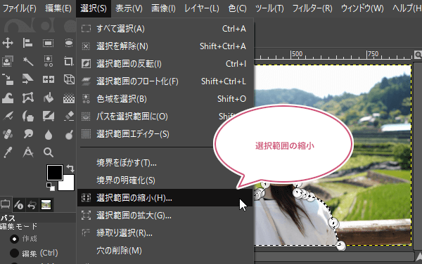 選択範囲の縮小を選択