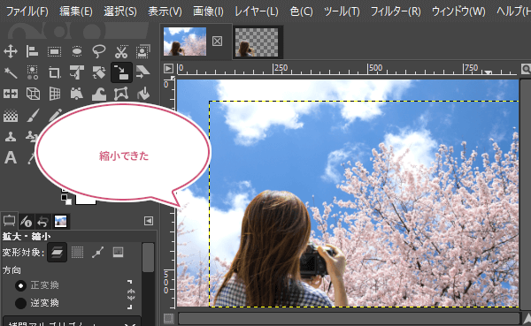縮小できた