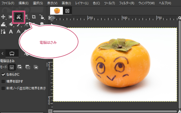 用意した写真画像