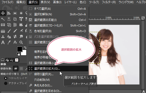 選択範囲を拡大をクリック