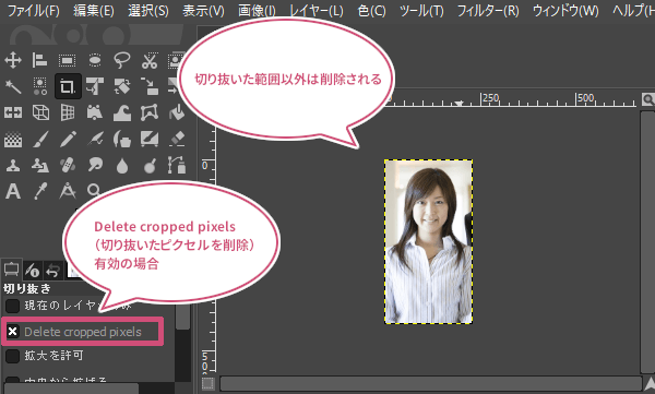Delete cropped pixels　（切り抜いたピクセルを削除）が有効の場合