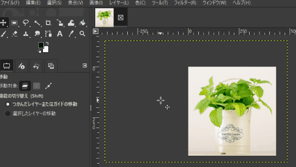 画像を移動してピクセル情報を確認
