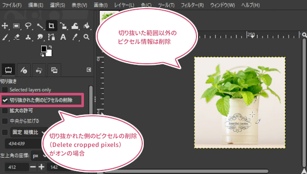 切り抜かれた側のピクセルの削除（Delete cropped pixels）がオンの場合