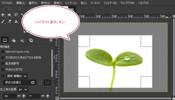 ハイライト表示有効の場合のサンプル画像