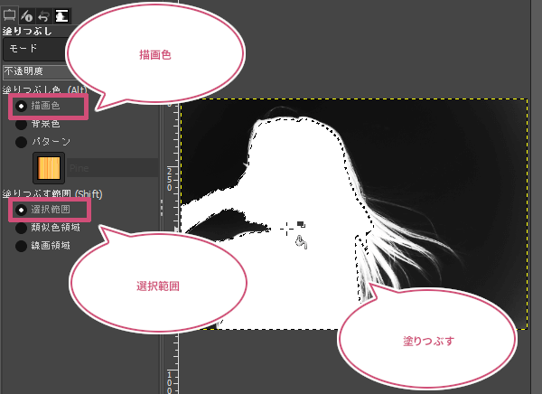 ツールオプションを設定し選択範囲を塗りつぶす