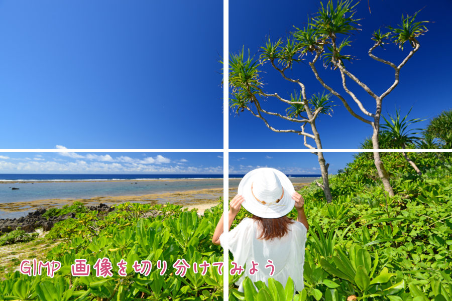 GIMP 画像を切り分けてみよう