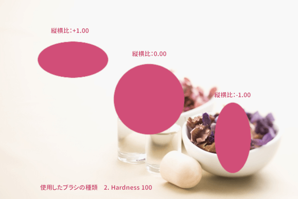 ブラシの縦横比を比較